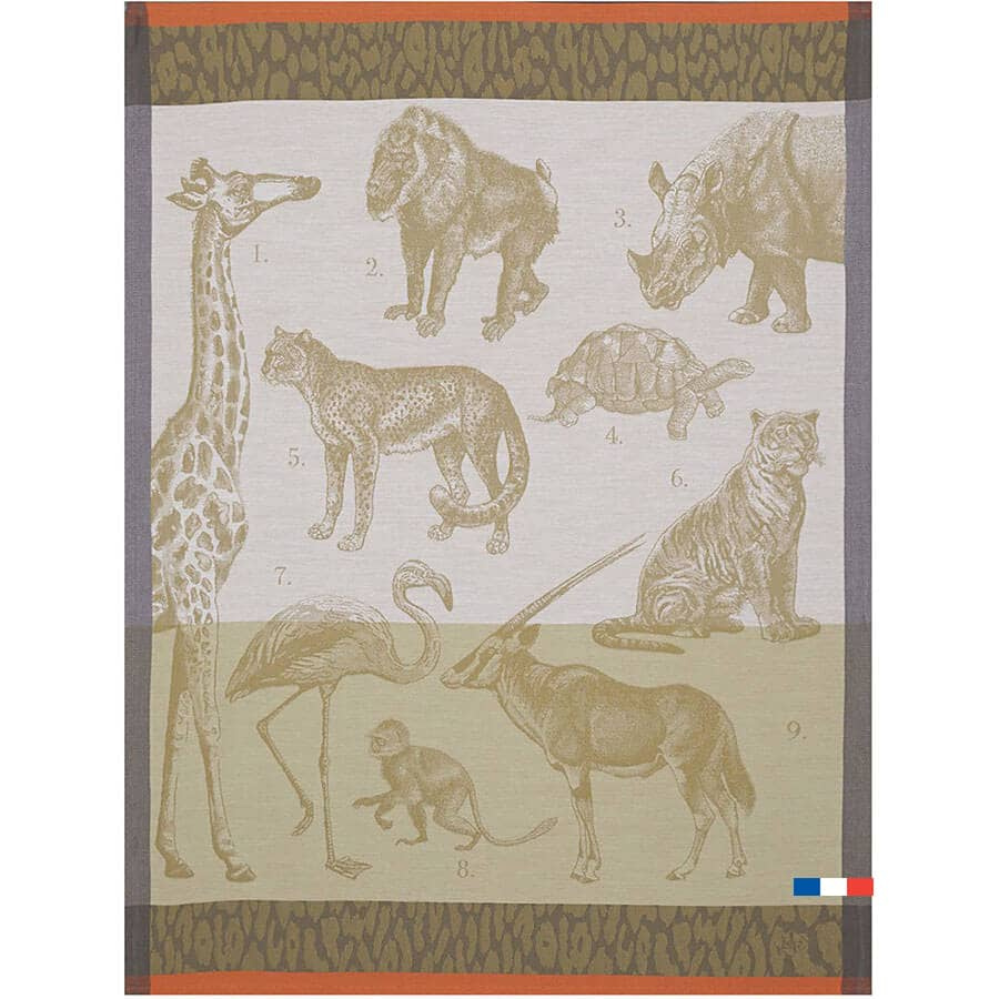 torchon-safari